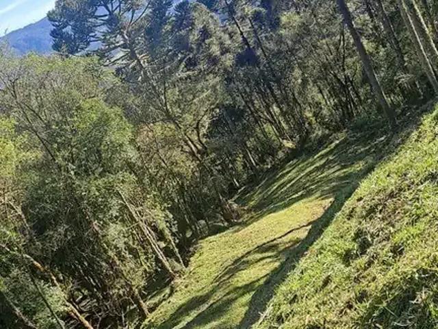 Terreno venda em Região Geográfica Imediata de Lages, Rio Rufino