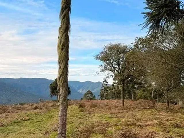 Terreno venda em Região Geográfica Imediata de Lages, Urubici