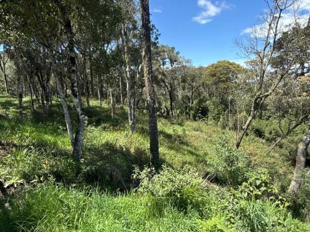 Terreno venda em Urubici, Região Geográfica Intermediária de Lages