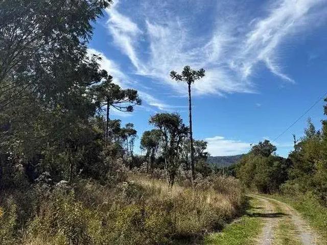 Terreno venda em Região Geográfica Imediata de Videira, Videira
