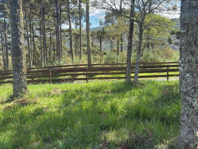 Terreno venda em Urubici, Região Geográfica Intermediária de Lages