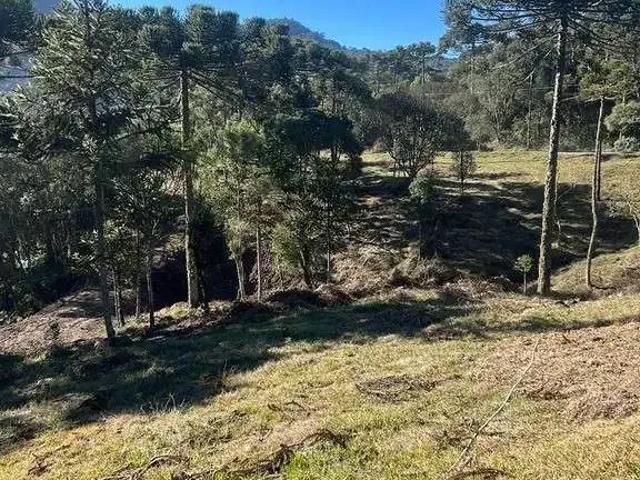 Terreno venda em Região Geográfica Imediata de Videira, Videira