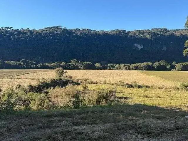 Terreno venda em Região Geográfica Imediata de Videira, Videira