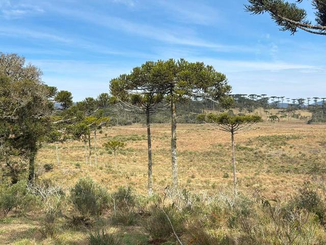 Terreno venda em Urubici, Região Geográfica Intermediária de Lages