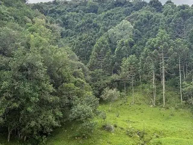 Terreno venda em Região Geográfica Imediata de Videira, Videira