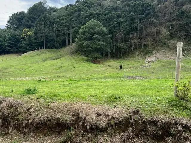 Terreno venda em Região Geográfica Imediata de Lages, Urubici