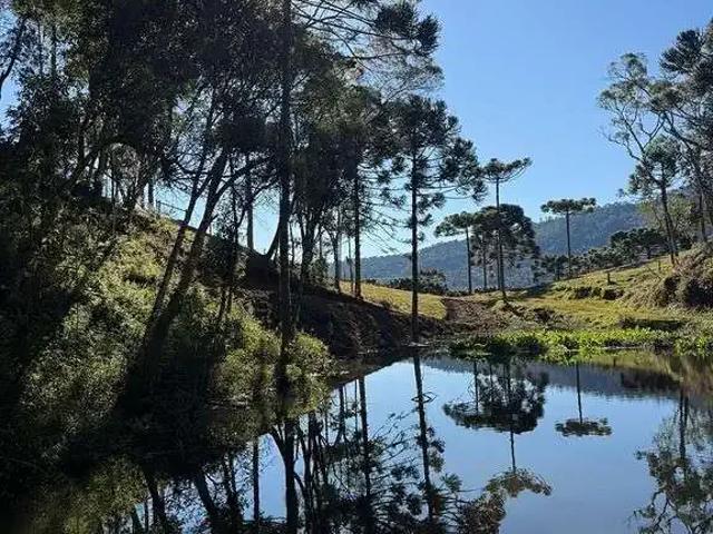 Terreno venda em Santa Tereza, Videira