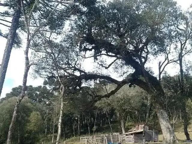 Terreno venda em Região Geográfica Imediata de Tubarão, Laguna