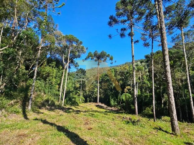 Terreno venda em Região Geográfica Imediata de Lages, Urubici