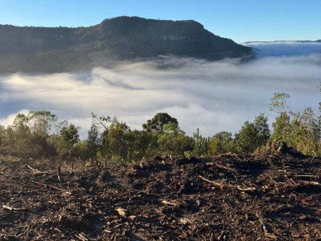Terreno venda em Urubici, Região Geográfica Intermediária de Lages