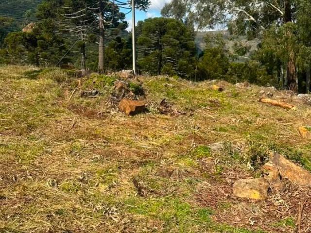 Terreno venda em Vacas Gordas, Urubici