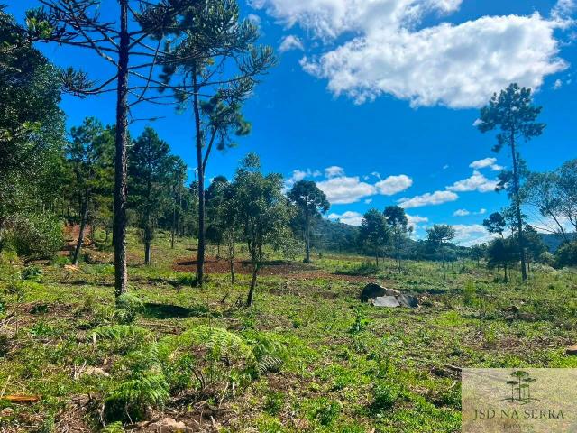 Terreno venda em Vacas Gordas, Urubici