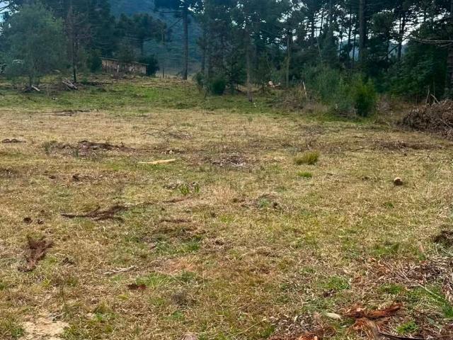 Terreno venda em Vacas Gordas, Urubici