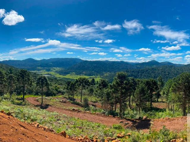 Terreno venda em Vacas Gordas, Urubici
