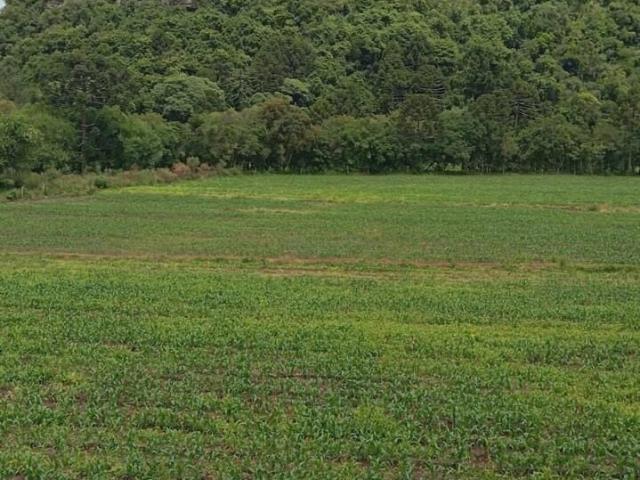 Terreno venda em Urubici, Região Geográfica Intermediária de Lages