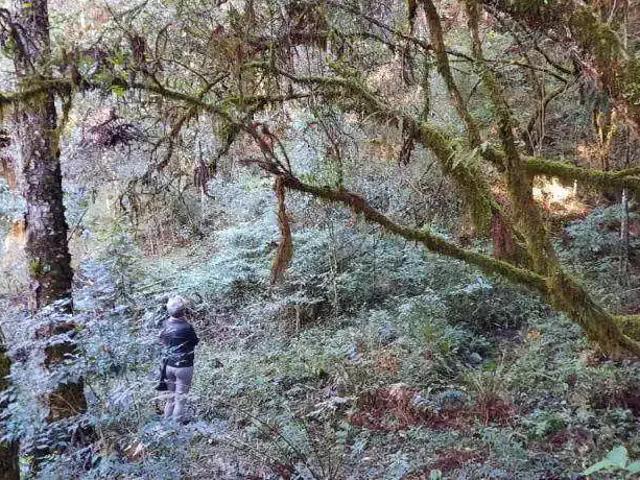 Terreno venda em Região Geográfica Imediata de Lages, Urubici