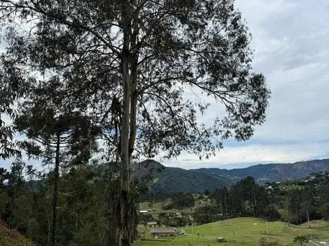 Terreno venda em Região Geográfica Imediata de Lages, Urubici