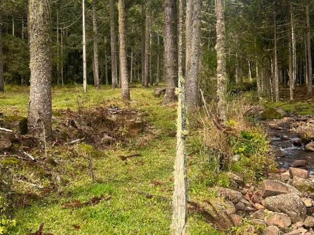 Terreno venda em Urubici, Região Geográfica Intermediária de Lages
