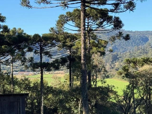 Terreno venda em Urubici, Região Geográfica Intermediária de Lages