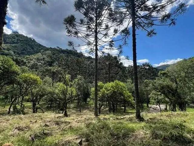 Terreno venda em Região Geográfica Imediata de Lages, Urubici