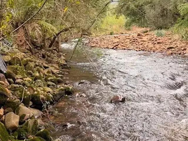 Terreno venda em Urubici, Região Geográfica Intermediária de Lages