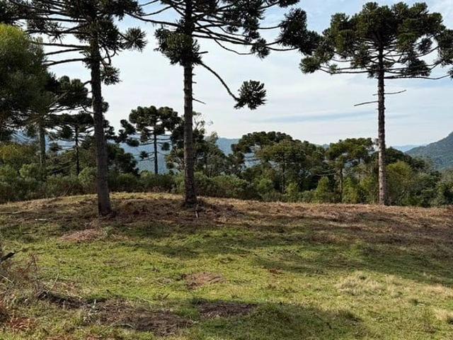 Terreno venda em Santa Catarina, Urubici