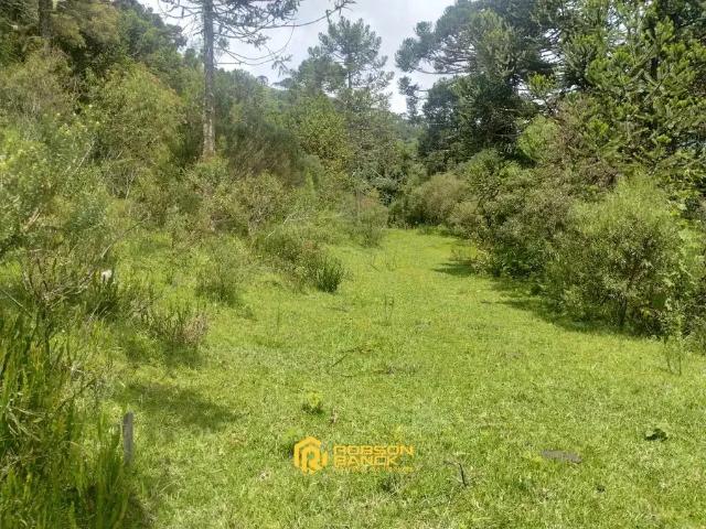 Terreno venda em Região Geográfica Imediata de Lages, Urubici