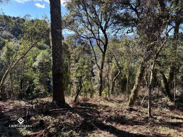 Terreno venda em Região Geográfica Imediata de Lages, Urubici