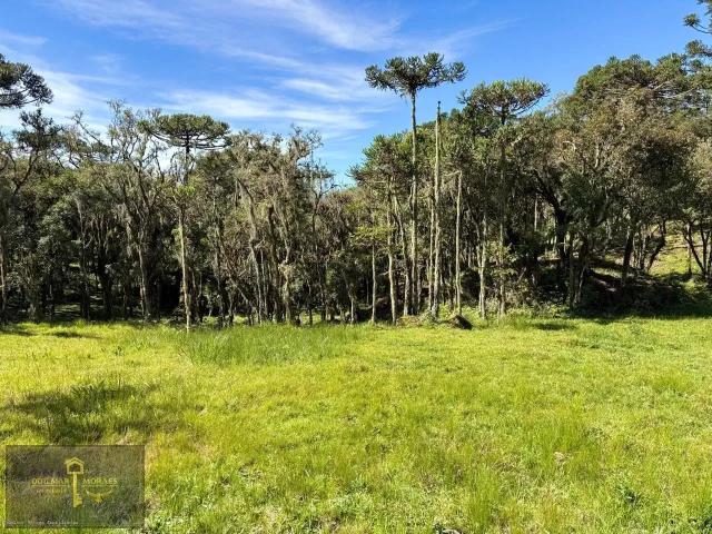 Terreno venda em Região Geográfica Imediata de Lages, Urubici