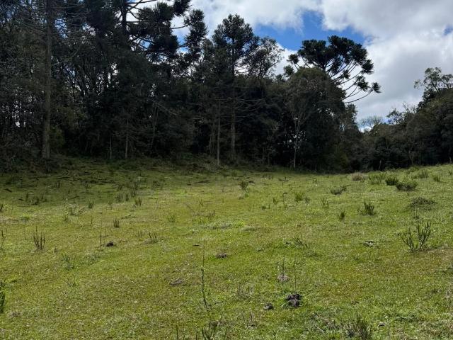 Terreno venda em Urubici, Região Geográfica Intermediária de Lages