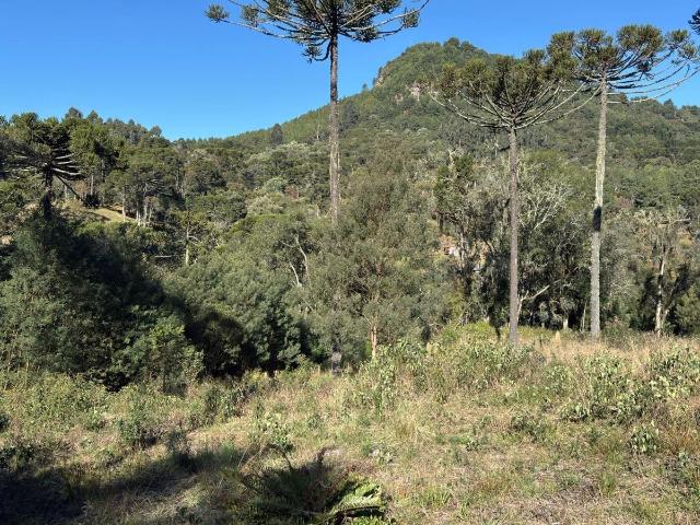 Terreno venda em Urubici, Região Geográfica Intermediária de Lages