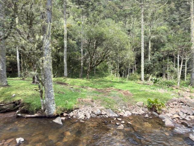 Terreno venda em Urubici, Região Geográfica Intermediária de Lages