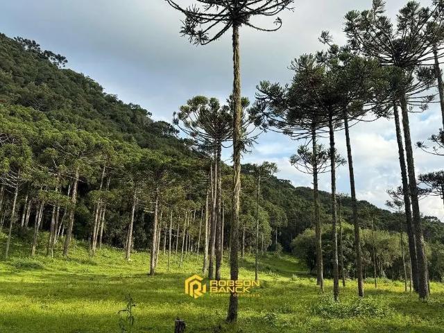 Terreno venda em Região Geográfica Imediata de Lages, Urubici
