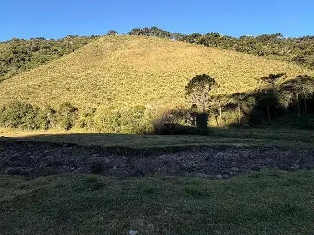 Terreno venda em Região Geográfica Imediata de Lages, Urubici