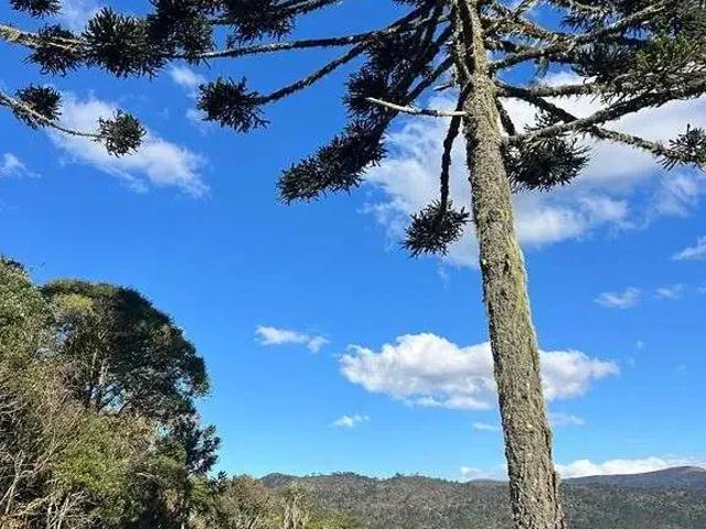 Terreno venda em Região Geográfica Imediata de Lages, Urubici