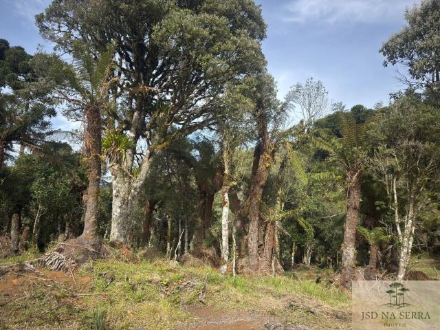 Terreno venda em Urubici, Região Geográfica Intermediária de Lages