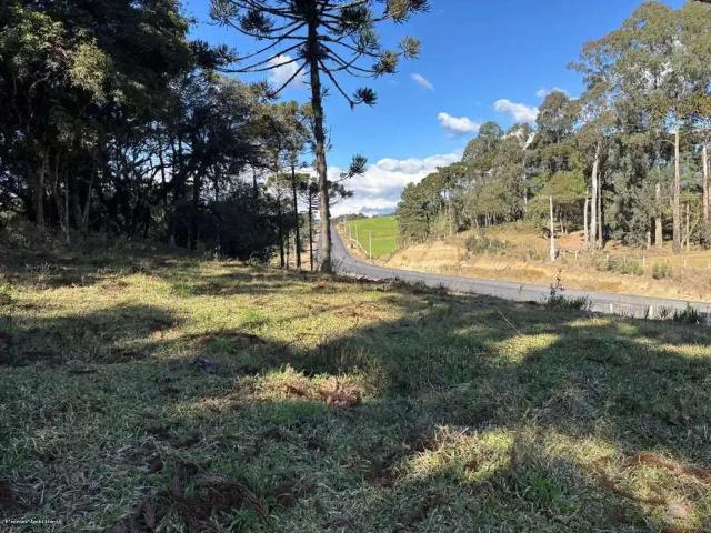 Terreno venda em Região Geográfica Imediata de Lages, Urubici