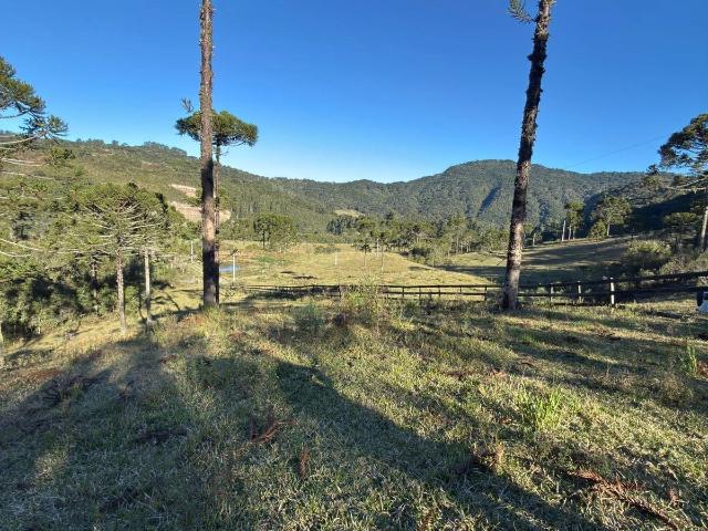 Terreno venda em Urubici, Região Geográfica Intermediária de Lages