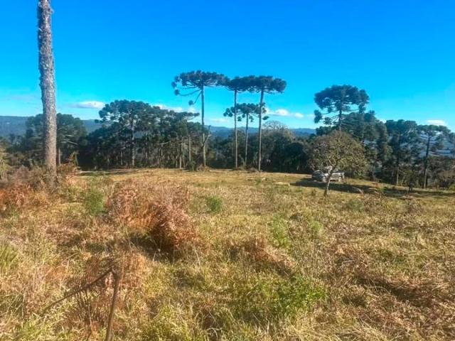 Terreno venda em Urubici, Região Geográfica Intermediária de Lages