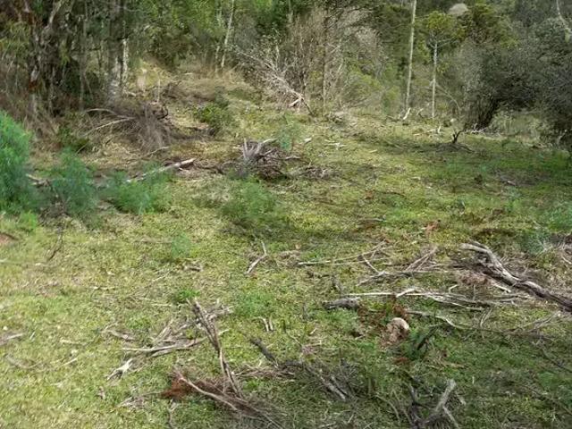 Terreno venda em Região Geográfica Imediata de Lages, Urubici