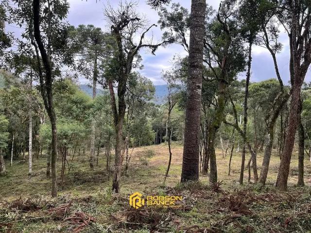 Terreno venda em Região Geográfica Imediata de Lages, Urubici