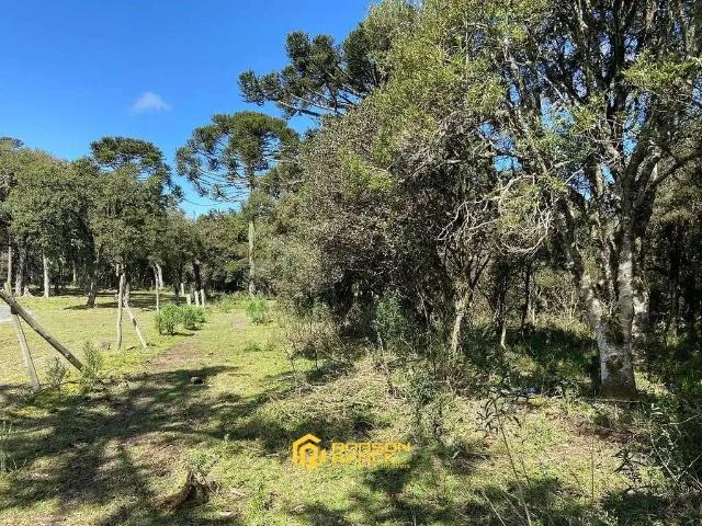 Terreno venda em Região Geográfica Imediata de Lages, Urubici