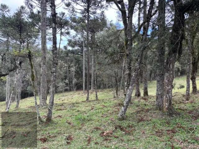 Terreno venda em Região Geográfica Imediata de Lages, Urubici