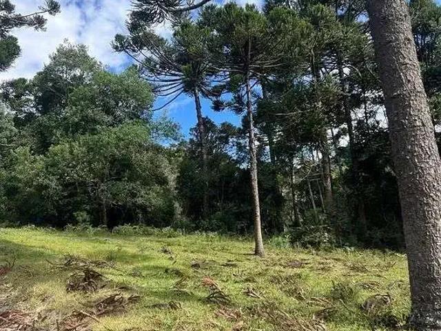Terreno venda em Região Geográfica Imediata de Lages, Urubici