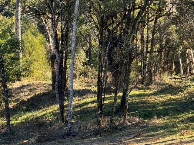 Terreno venda em Urubici, Região Geográfica Intermediária de Lages