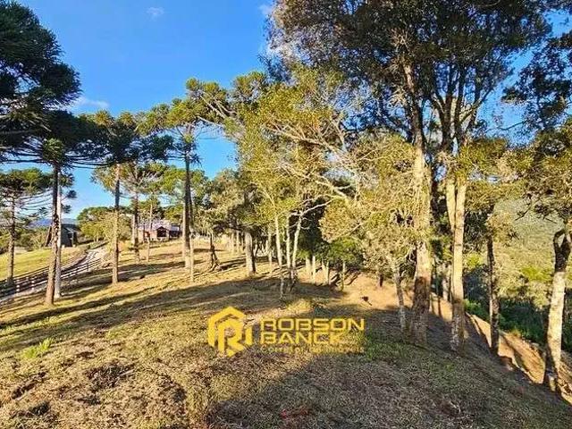 Terreno venda em Região Geográfica Imediata de Lages, Urubici