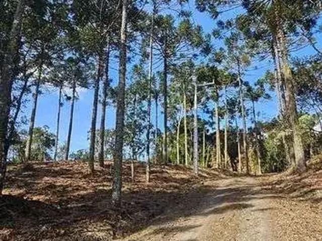 Terreno venda em Região Geográfica Imediata de Lages, Urubici