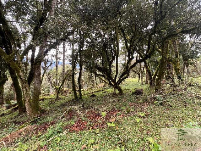 Terreno venda em Urubici, Região Geográfica Intermediária de Lages