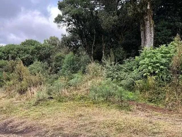 Terreno venda em Região Geográfica Imediata de Lages, Urubici