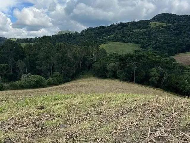 Terreno venda em Região Geográfica Imediata de Lages, Urubici